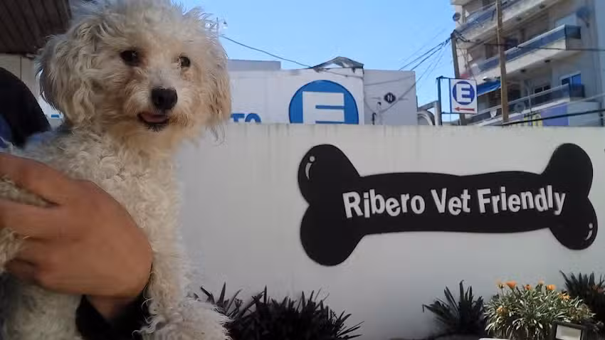 Ribero Vet Friendly Veterinaria