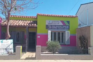 Salud Animal Veterinaria