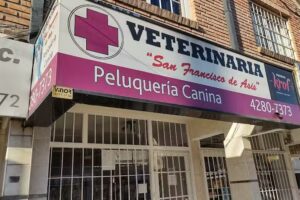 San Francisco de As&iacute;s