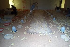 San Roque Agroveterinaria