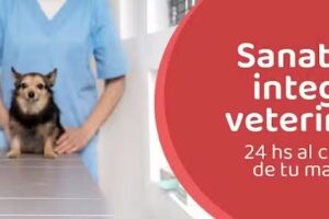 Sanatorio Integral Veterinario | SIVET