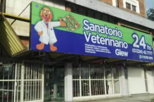 sanatorio veterinario de glew