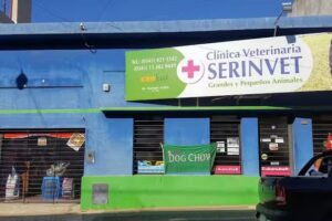 SERINVET Cl&iacute;nica Veterinaria