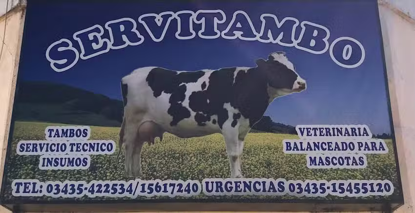 Serv&iacute; Tambo