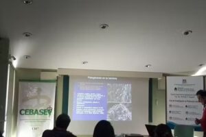 Servicio de Diagn&oacute;stico Veterinario Epecializado &ndash; INTA EEA Balcarce