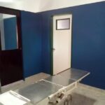 Servicio Integral Veterinario