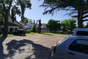 Servicio Veterinario del Hipodromo de San Isidro