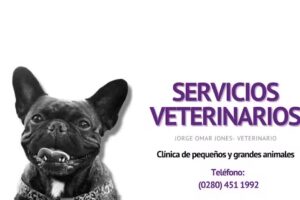 Servicios Veterinarios Dr. Jorge Jones