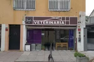 Shanti veterinaria