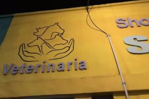 Shopping De Mascotas San Roque