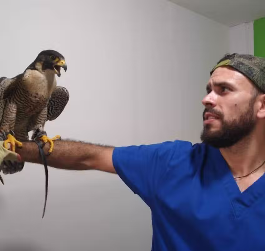 🪄THE DOCTOR EXOTIC VET DANIEL DALDOZ&hearts;️👏😷😎💪🦜🕊️🦢🦆🦦🦨🦔🐣🐍🐰🐭🐽