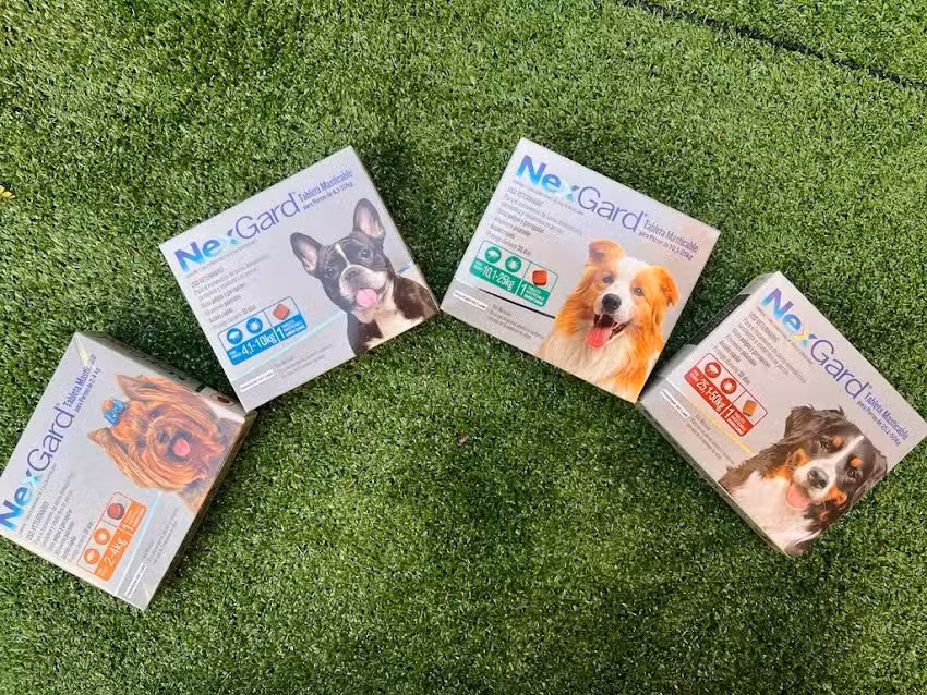 Tienda de mascotas