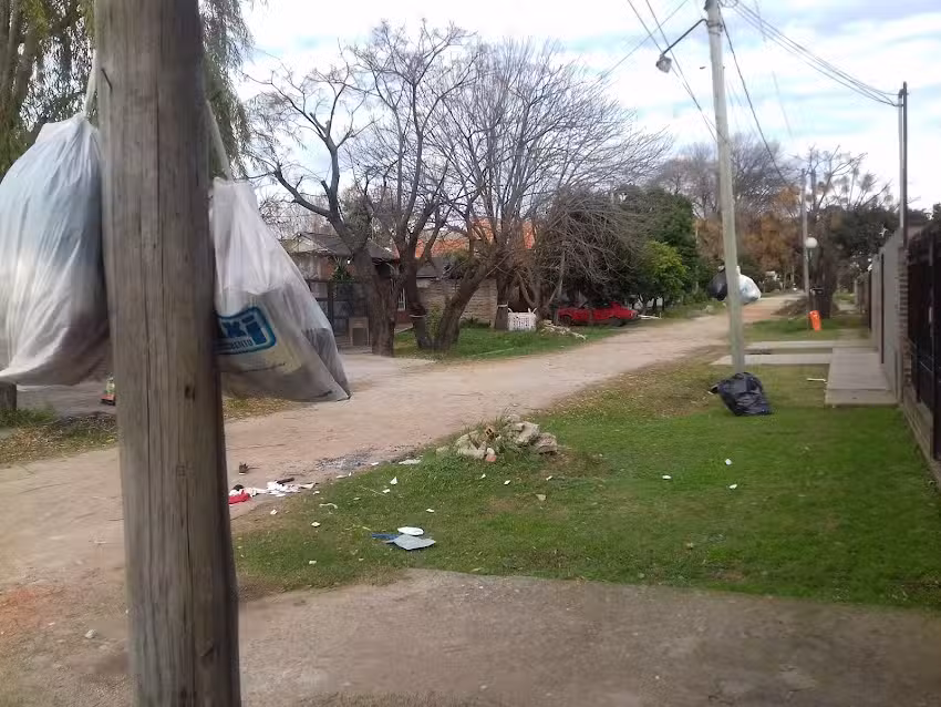 Tres Cachorros
