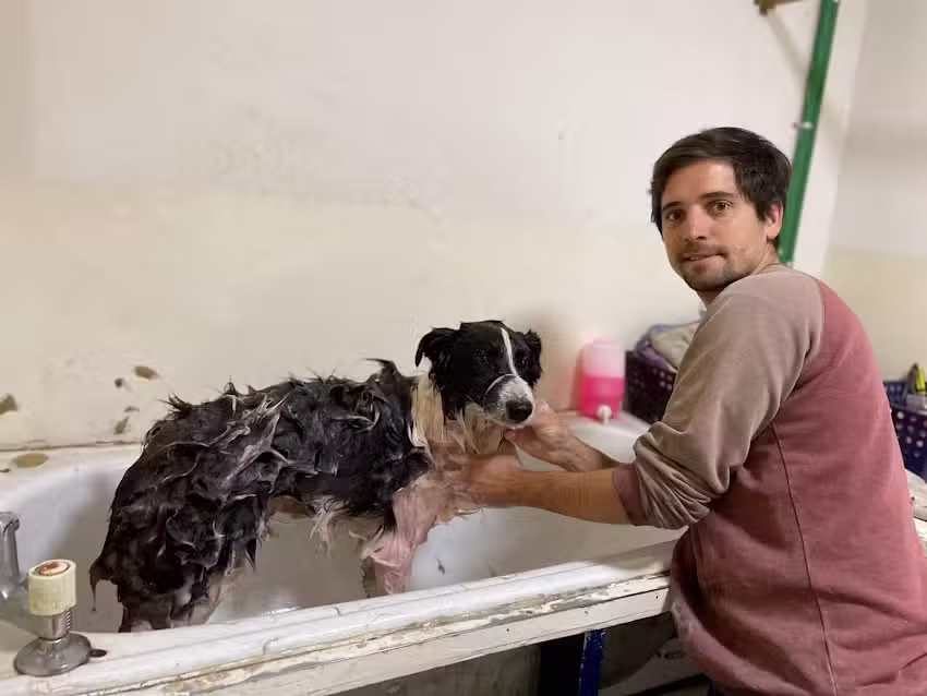 TRIVET cl&iacute;nica veterinaria