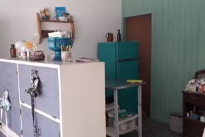 U&ntilde;a de Gato Veterinaria