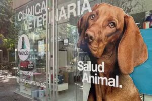 Valencia Clínica Veterinaria