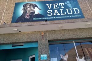 Vet Salud