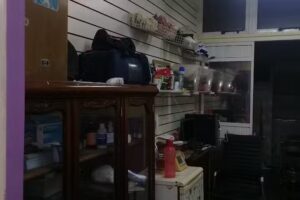 Vet servicios veterinarios