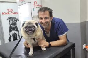 Vetama Agro Veterinaria