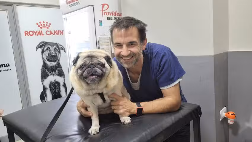 Vetama Agro Veterinaria