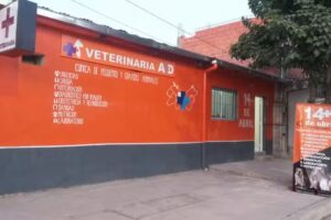 Veterinaria 14 de abril