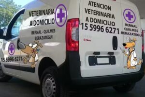 veterinaria
