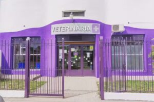 Veterinaria 31 y 80 NUVA