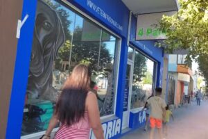 Veterinar&iacute;a 4 Patas