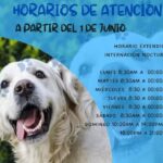 Veterinaria 4 patas