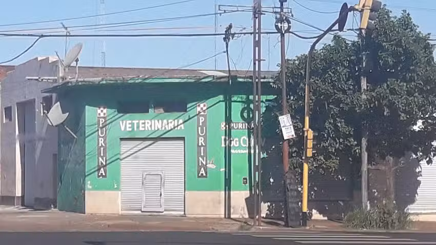 Veterinaria