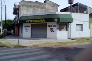Veterinaria