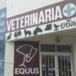 Veterinaria