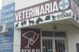 Veterinaria