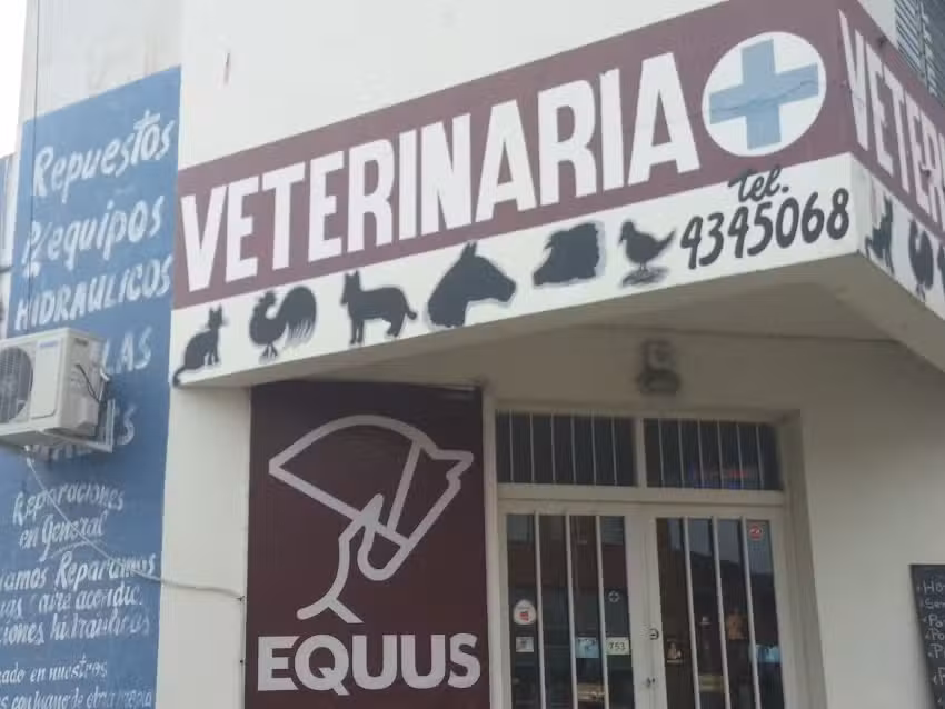 Veterinaria