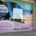 Veterinaria 7 Vidas