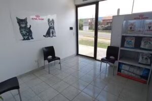 Veterinaria 911 Pets