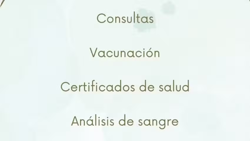Veterinaria a domicilio-Iara