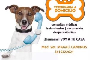 Veterinaria a domicilio. Med. vet. Magali Caminos. Servicios a domicilio en Funes, Rosario y Rold&aacute;n.
