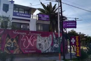 Veterinaria Aconcagua – Clínica de perros y gatos en Guaymallén