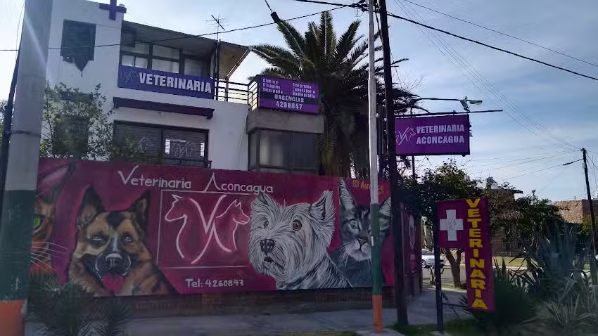 Veterinaria Aconcagua &ndash; Cl&iacute;nica de perros y gatos en Guaymall&eacute;n