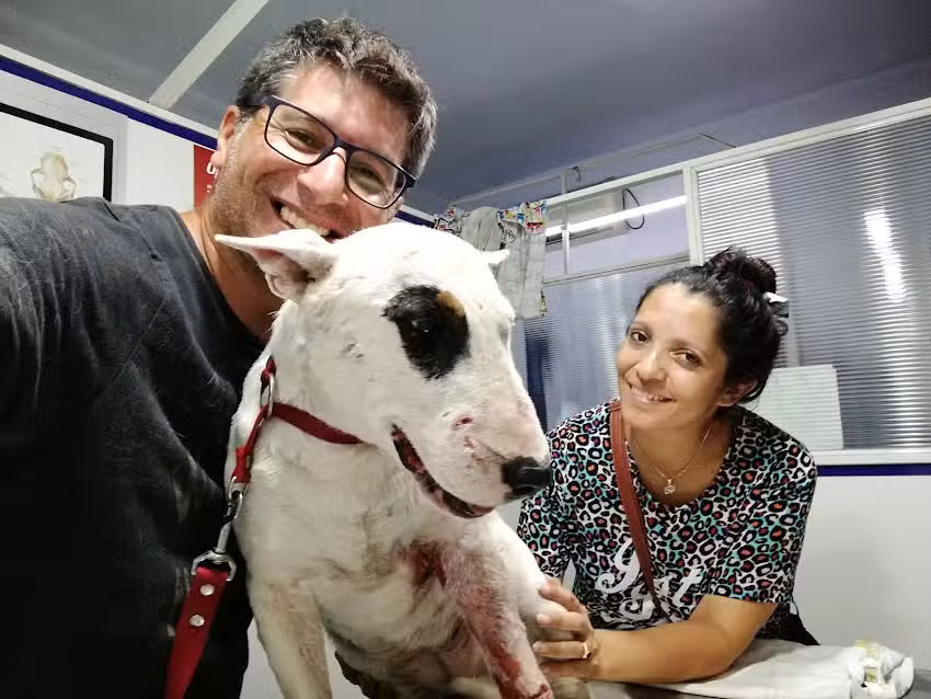 Veterinaria ADAP 24 hs.