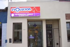 Veterinaria Aimale