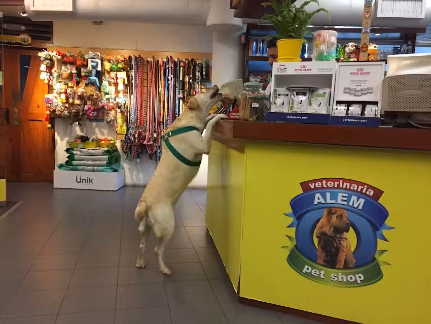 Veterinaria Alem Granaderos