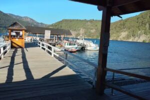 Veterinaria AM&Eacute;RICA