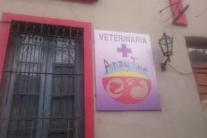 Veterinaria Anay Tue