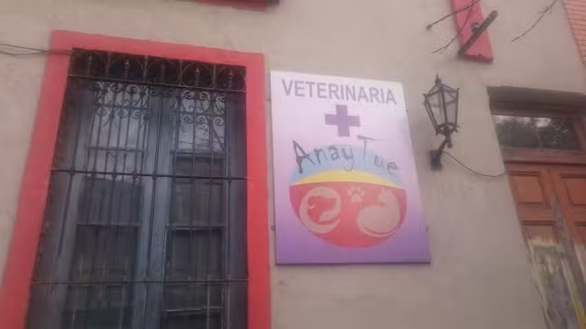 Veterinaria Anay Tue