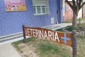 VETERINARIA ANGELETTI