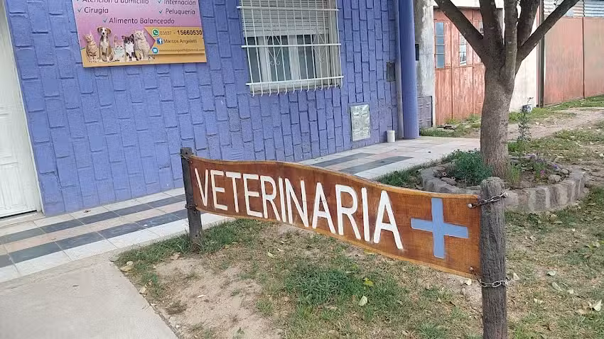 VETERINARIA ANGELETTI