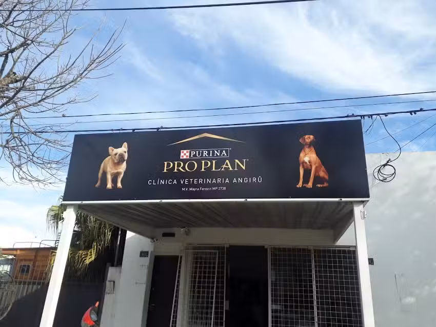 Veterinaria Angiru