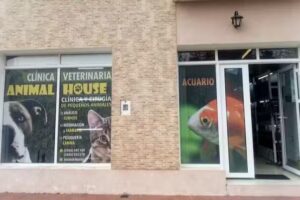 Veterinaria Animal House